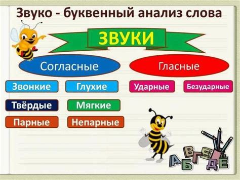 Слово "жили": анализ звукового состава
