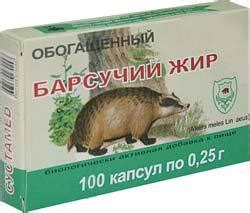 Советы по приготовлению барсучьего жира