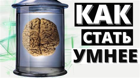 Советы по улучшению работы мозга на основе научных исследований