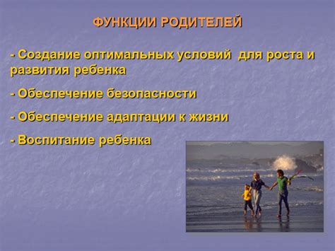 Создание оптимальных условий для роста и развития картофеля