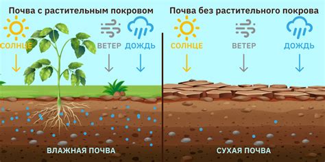 Сохранение плодородности почвы