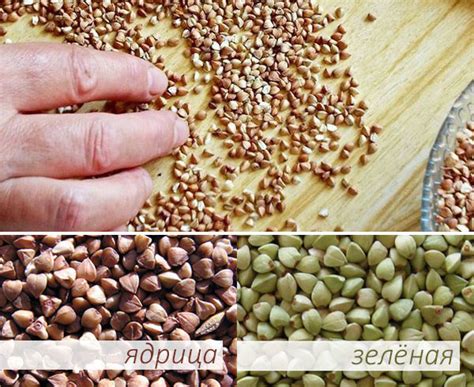 Сочетание гречки и мяса для похудения