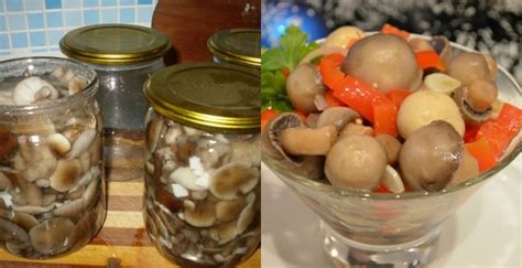 Сочетание маринованных грибов с другими продуктами для диабетика