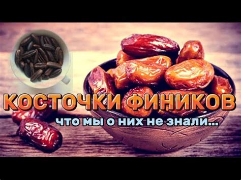 Способы использования косточек фиников в кулинарии