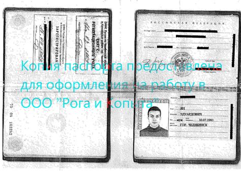 Способы открытия фирмы, основанной на копии паспорта: правовые рамки