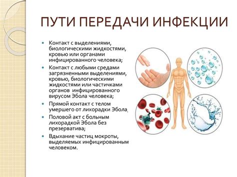 Способы предотвращения передачи инфекции