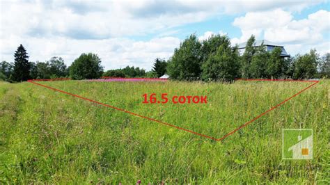 Способы узнать, продается ли участок земли