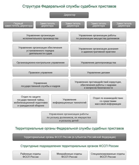 Судебные приставы и их роль