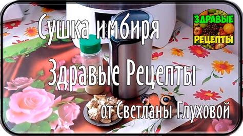 Сушка имбиря в дегидраторе