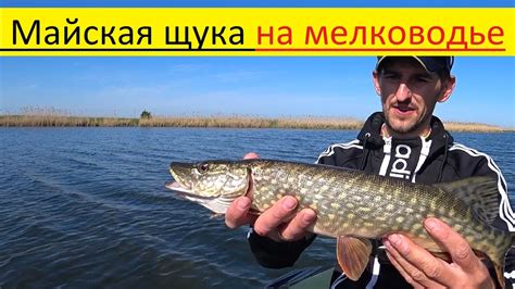 Тактика ловли щуки в сентябре