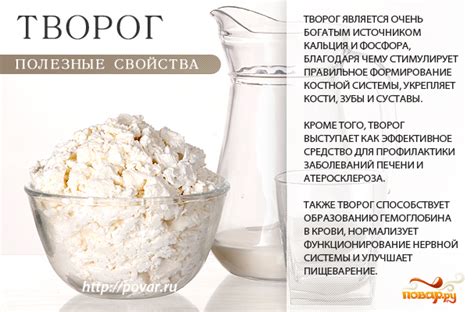 Творог и ряженка: полезные свойства