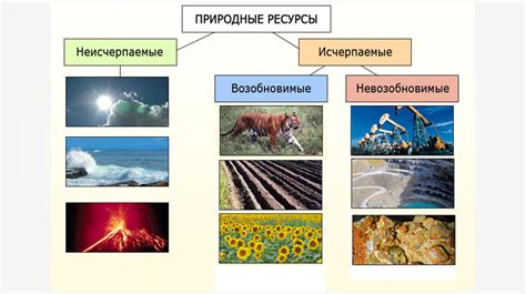 Топографические и природные особенности