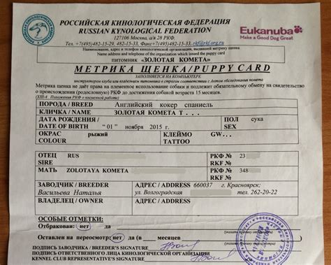 Третий этап: Регистрация щенка в системе РКФ