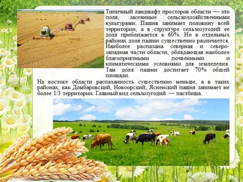 Увеличение производительности сельского хозяйства