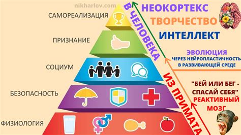 Удовлетворение специфических потребностей пользователя