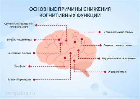 Улучшение когнитивных функций через дрему