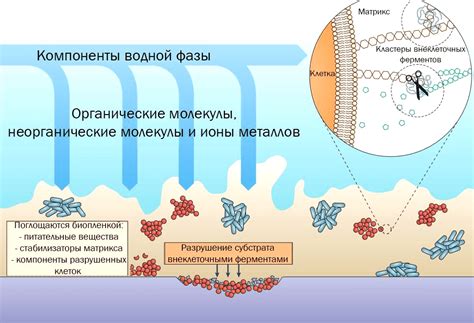 Уменьшение образования спутанных узлов