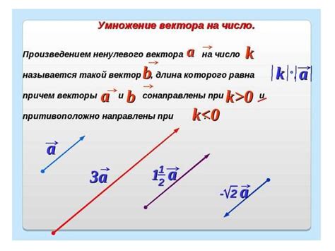 Умножение вектора на отрицательное число: ответ и примеры