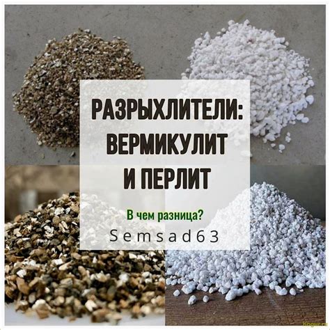 Уникальные свойства земли, выкопанной кротом