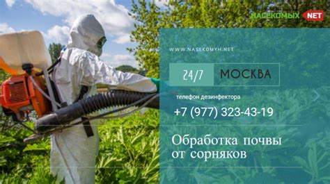 Уничтожение сорняков и вредителей