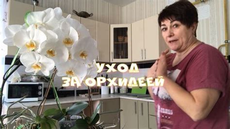 Уход за котомками Волга