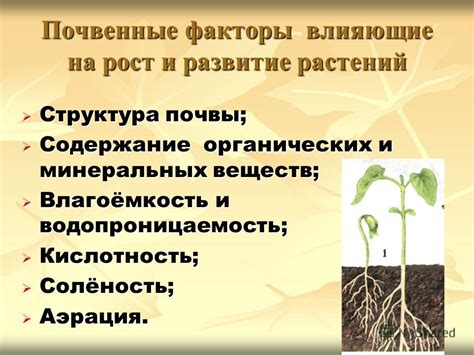 Факторы, влияющие на рост сорняков через мульчу из коры