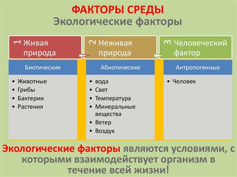 Факторы экологической среды и их влияние на рост последующих детей