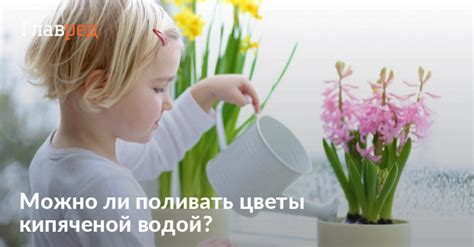 Факты и мнения о поливе кипяченой водой