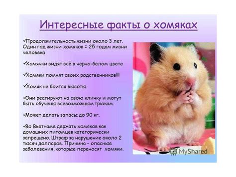 Факты о работе животных