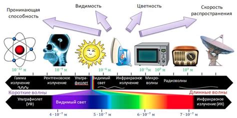 Факт 1: Влияние электромагнитных излучений