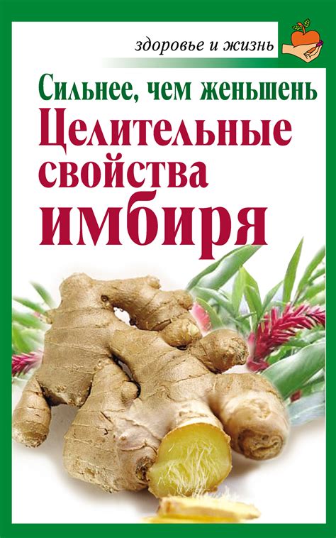 Целительные свойства имбиря