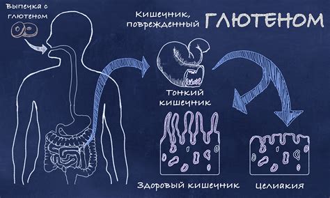 Что говорят исследования о влиянии цвета плетенки на рыбу: