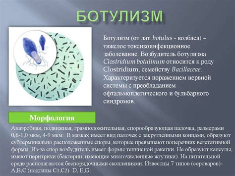 Что такое ботулизм