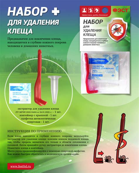 Шаг 6: Следуйте рекомендациям врача для удаления клеща