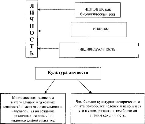 Эволюция культуры