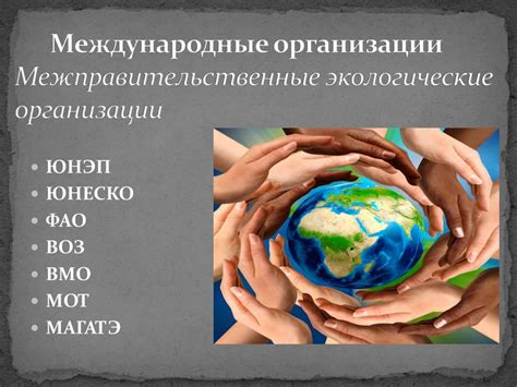 Экологические вызовы и международное сотрудничество