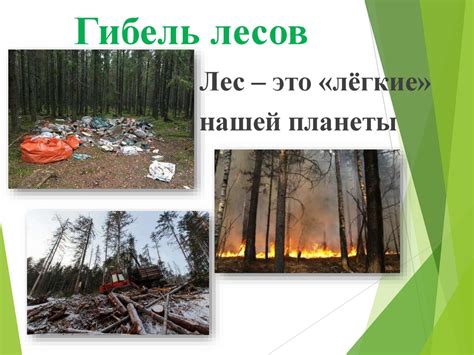 Экологические последствия шипов