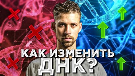 Эпигенетика: влияние окружающей среды на генетический код