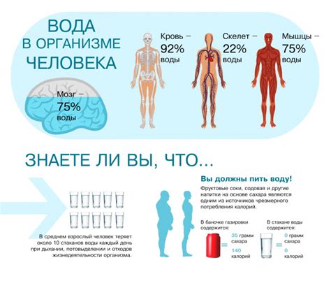 Эффекты креатина на задержку воды в организме