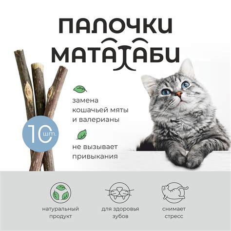 Эффект кошачьей мяты на сон кота