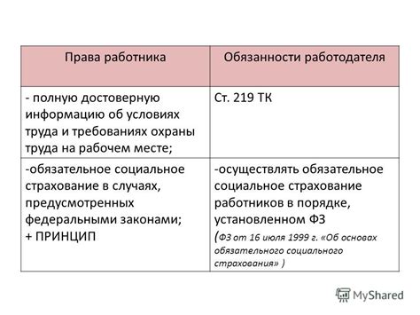 Юридическая сторона вопроса: права и обязанности работодателя и родителей
