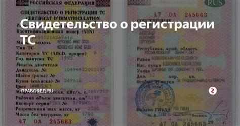 Важные моменты, о которых следует помнить при переоформлении автомобиля без его наличия 