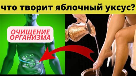  Диета: ключ к очищению организма 
