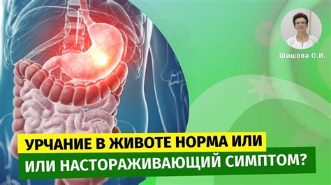  Значение воды для снятия урчания в животе 