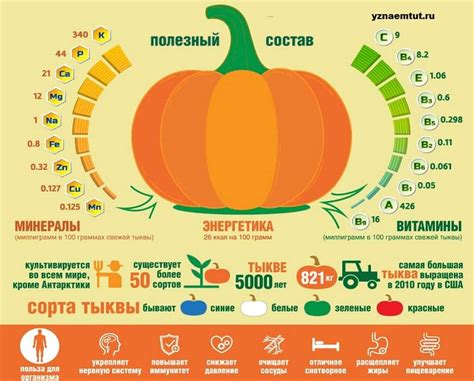  Полезные свойства зеленой тыквы 